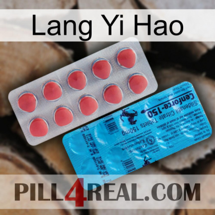Lang Yi Hao new14